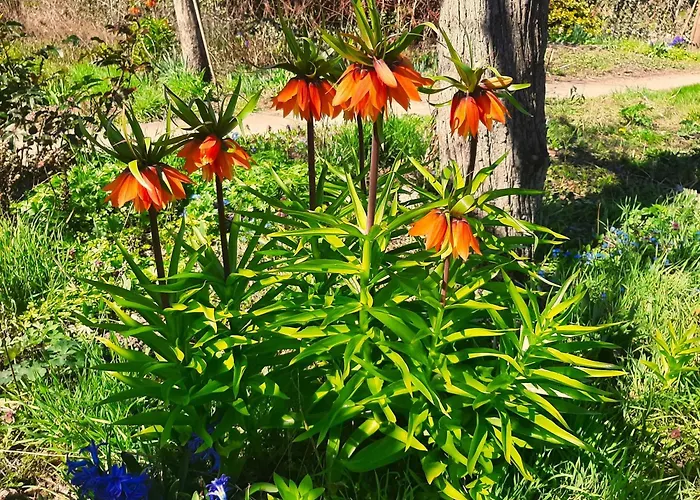 Malche Gaeste Und Tagungshaus 27 Lägenhet *