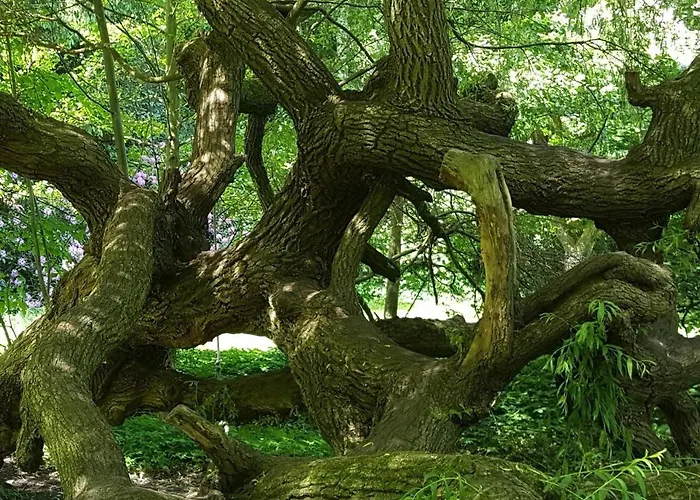 Malche Gaeste Und Tagungshaus 27 *