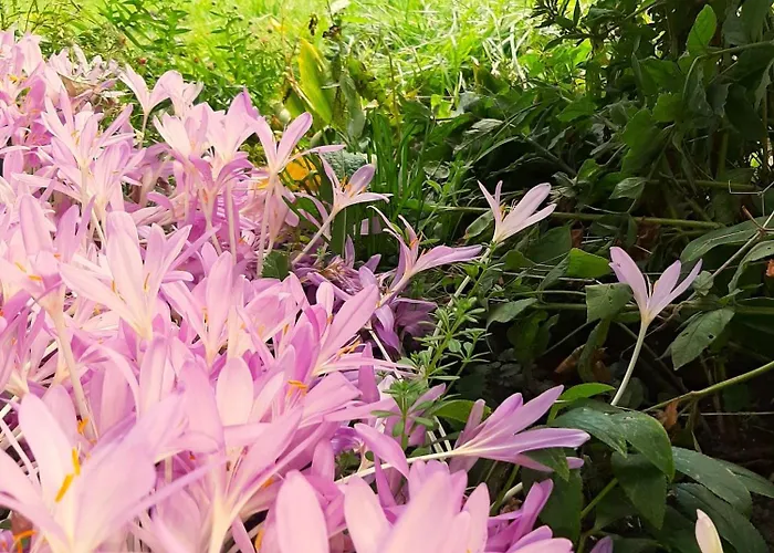 Lägenhet Malche Gaeste Und Tagungshaus 27 *