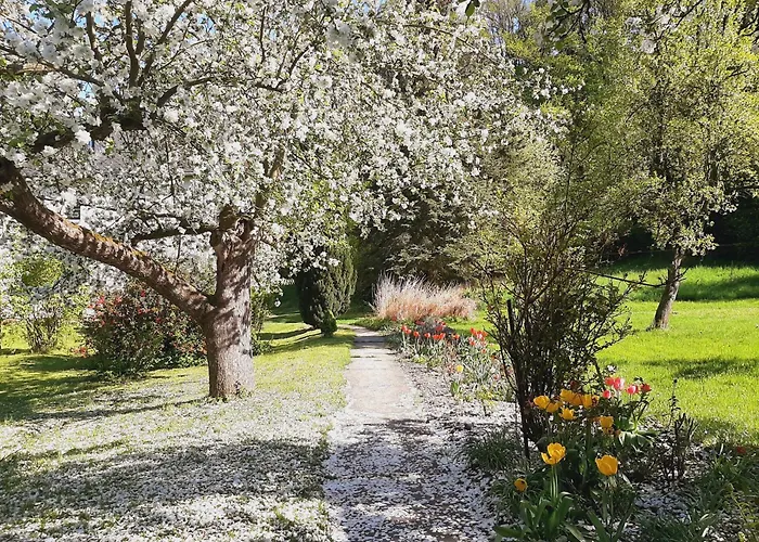Malche Gaeste Und Tagungshaus 27 Bad Freienwalde