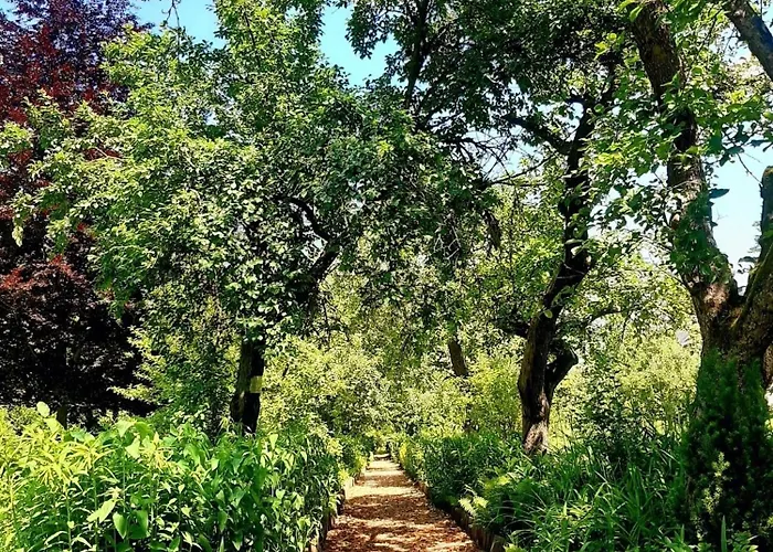 Lägenhet Malche Gaeste Und Tagungshaus 27 Bad Freienwalde